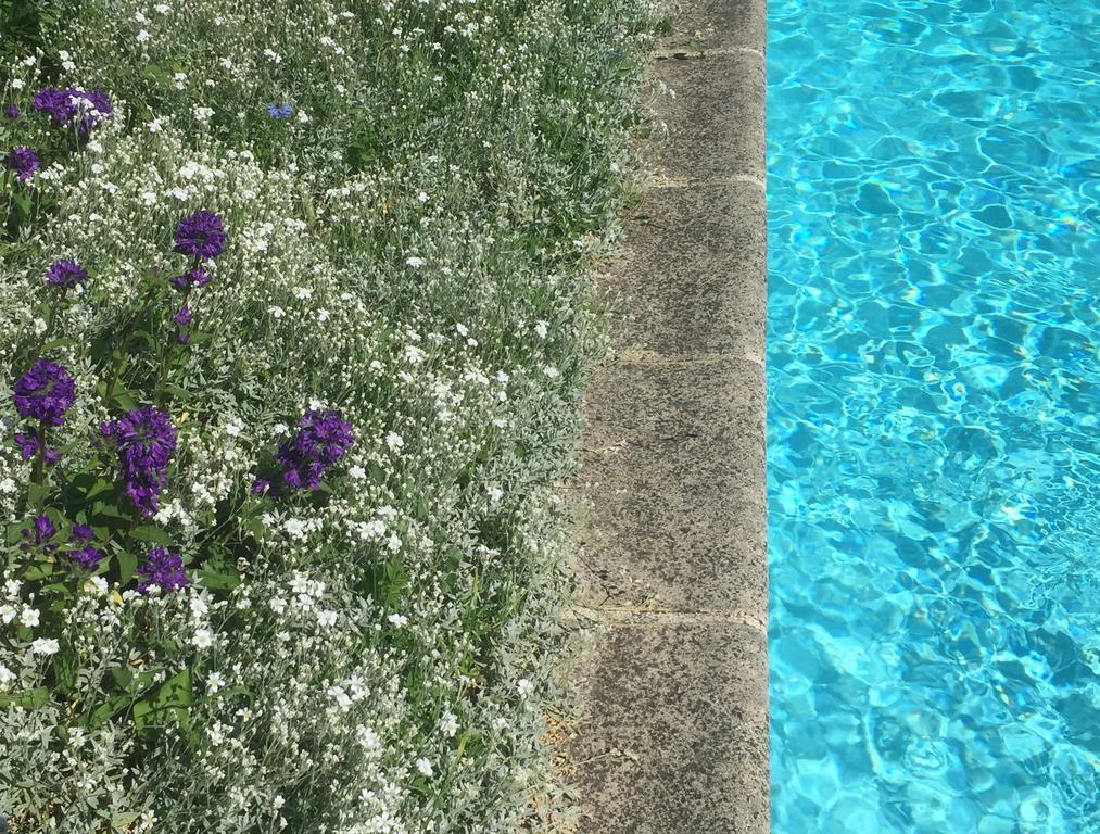 Fleurs De Vignes Piscine Bed and Breakfast Montagny-lès-Beaune Εξωτερικό φωτογραφία